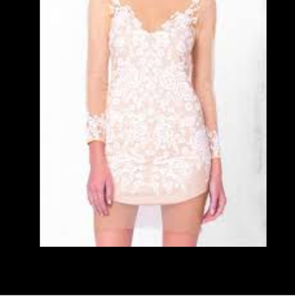 Forever 21 nude mesh white embroidery mini dress L